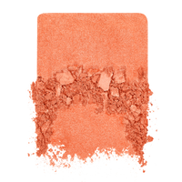 Make Up For Ever | Artist Blush