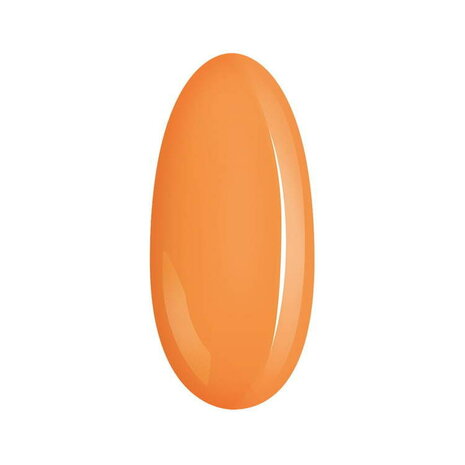 Néonail |  simple protein 3in1 - Creativity