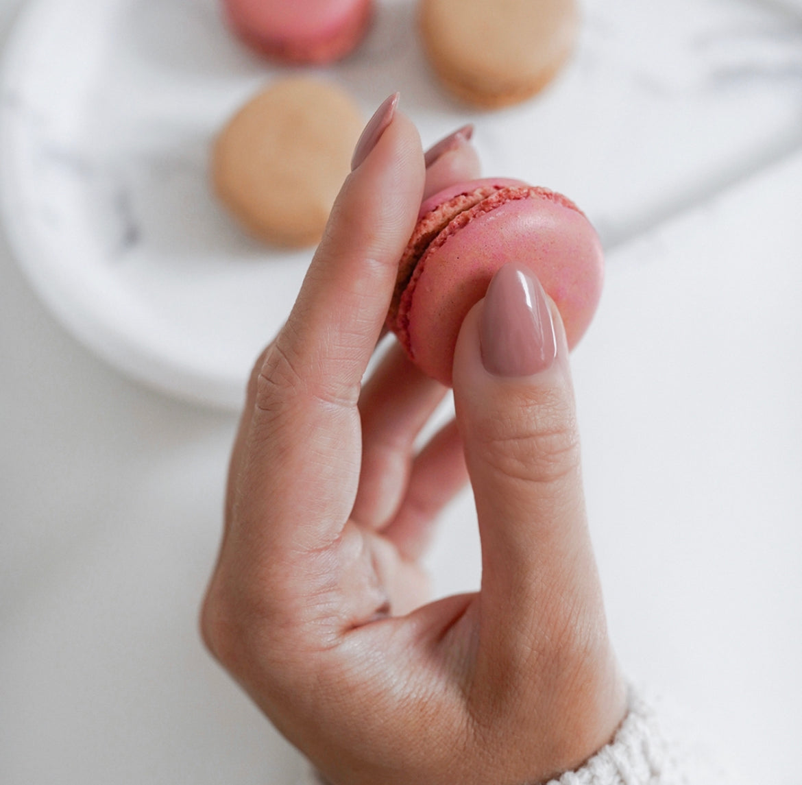 striplac-alessandro-petit-macaron